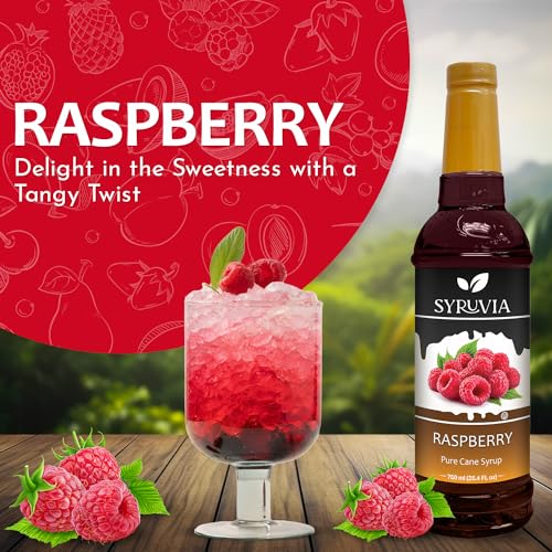 Raspberry Syrup (25.4 Fl Oz)