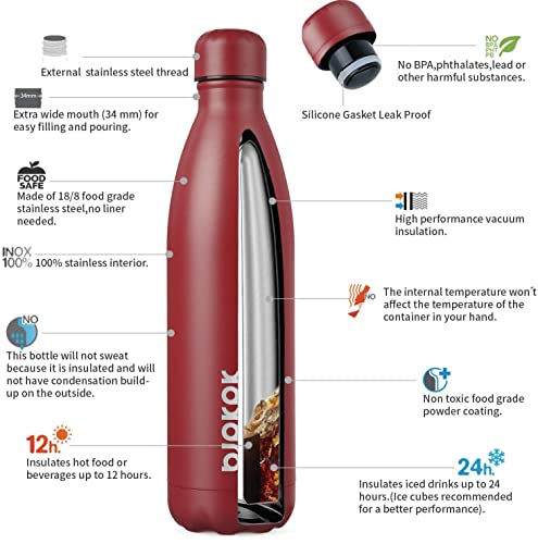 25 oz Insulated Water Bottle
