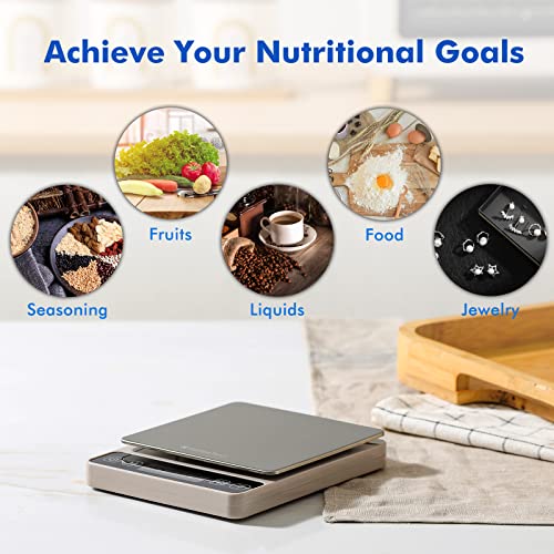 KitchenTour Digital Kitchen Gram Scale
