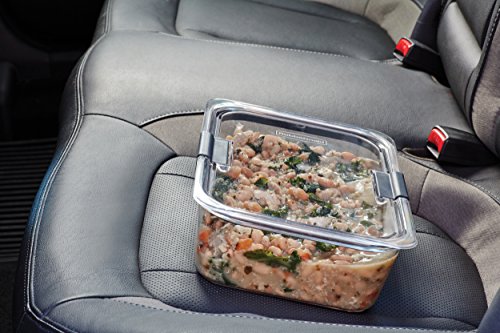 Brilliance Large Food Storage Container
