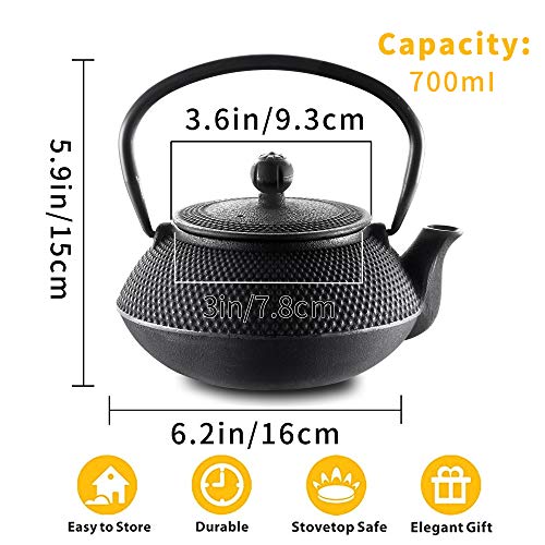Cast Iron Teapot Set with Infuser