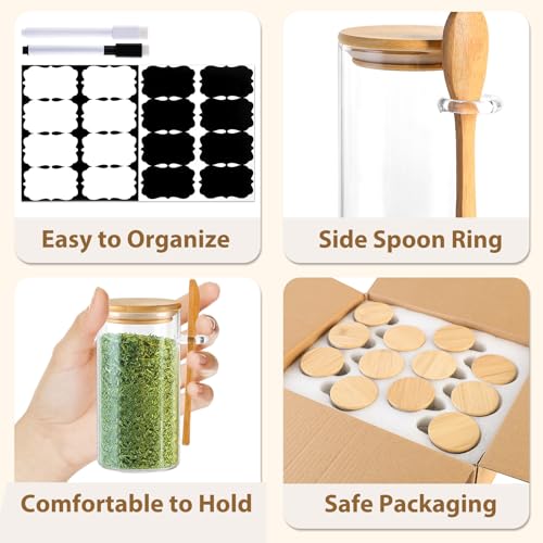 12 Pack 10 oz Round Glass Spice Jars with Lids and Spoons (12 Count)