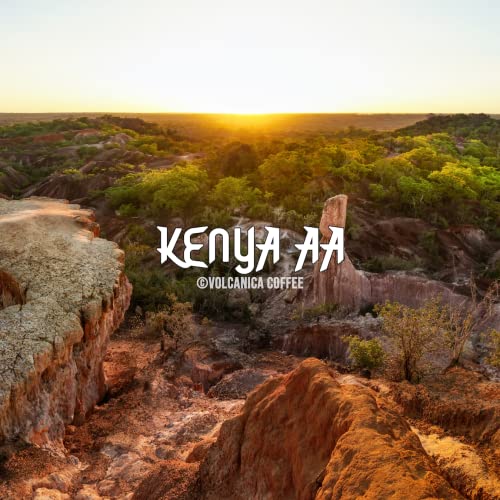 Kenya AA Coffee (16 Ounce)