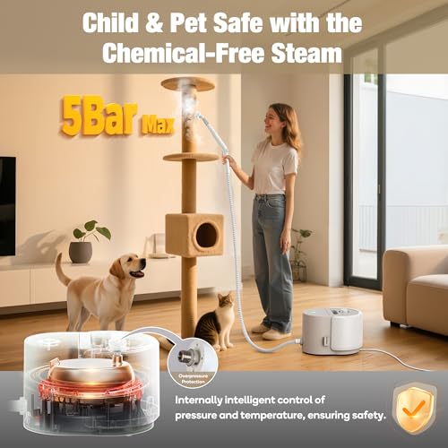 Heavy Duty Steam Cleaner