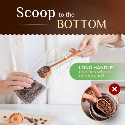 Premium Coffee Scoop Set (2 Count)