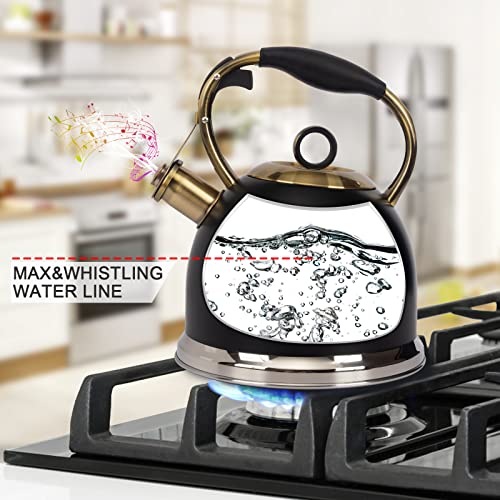 Tea Kettle 3.0 Quart Tea Kettles Stovetop Whistling Teapot Stainless Steel Tea Pots for Stove Top Whistle Tea Pot