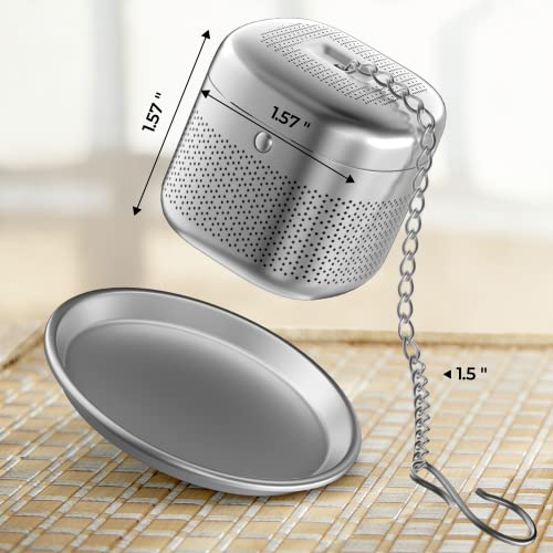 2 Pack 304 Stainless Steel Tea Infuser for Loose Leaf Tea (2 Count)