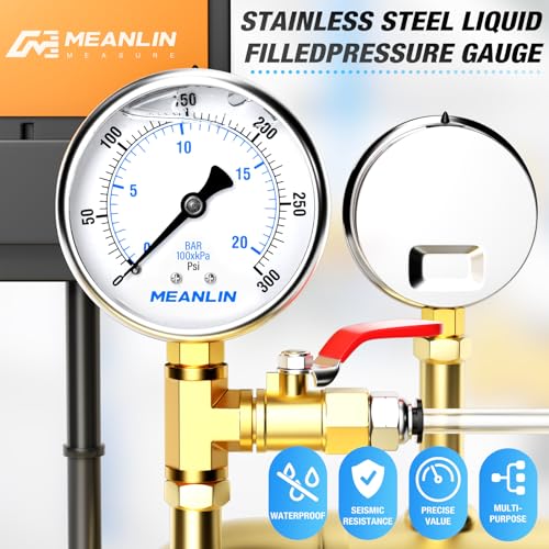 0~300Psi Stainless Steel 1