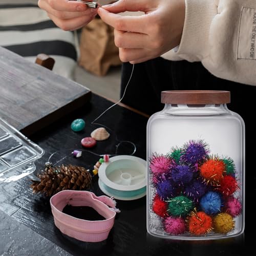 Large Glass Jar with Lid Set of 2