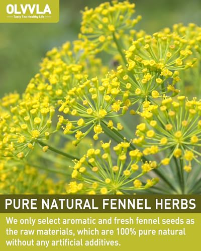 Fennel Tea Bags (50 Count)