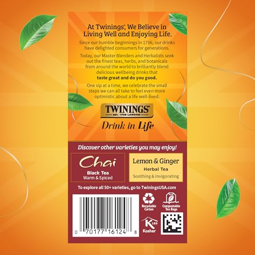 Spiced Apple Chai Black Tea Bags (120 Count)