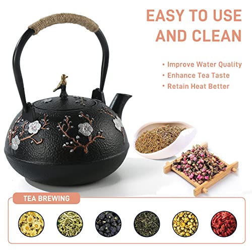 Cast Iron Teapot SECHUDO Teapot for Stovetop Safe Coated with Enameled Interior