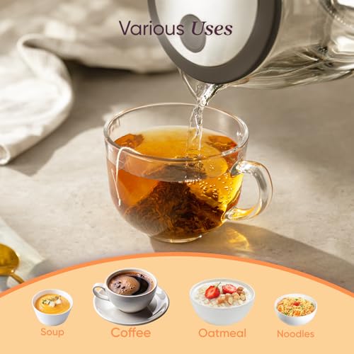Electric Kettle