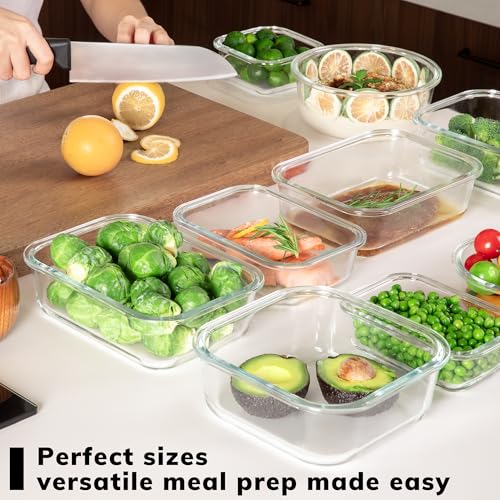 5 Pack Borosilicate Glass Containers with Tempered Glass Lids (5 Count)