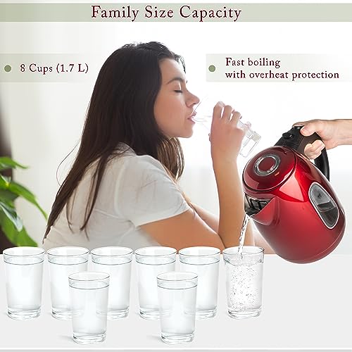 Red Stainless Steel Electric Kettle