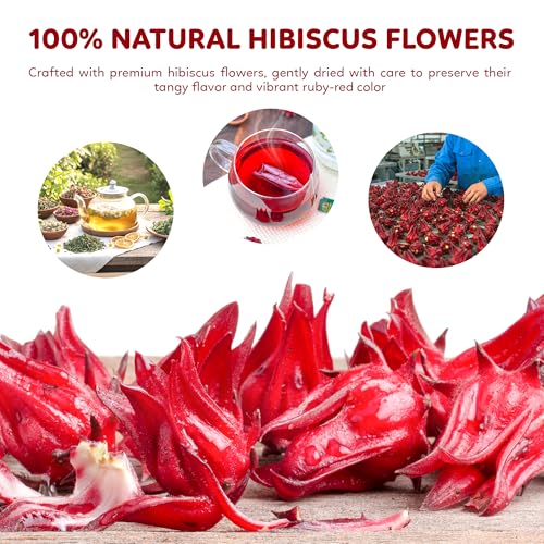 Hibiscus Tea Bags (100 Count)