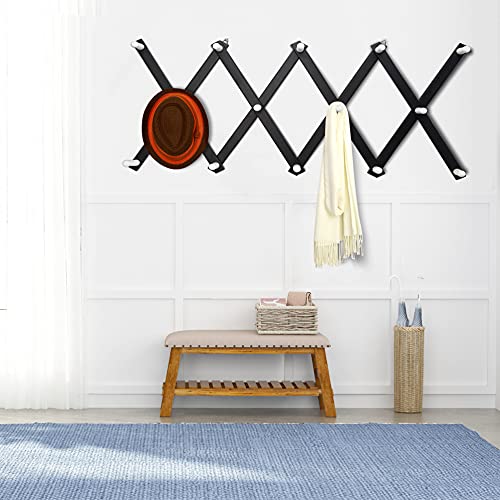 Accordian Wall Hanger