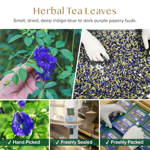 Butterfly Pea Flower Tea Bags (40 Count)