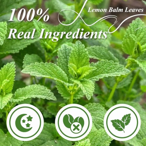 Lemon Balm Tea Bags 100 Count