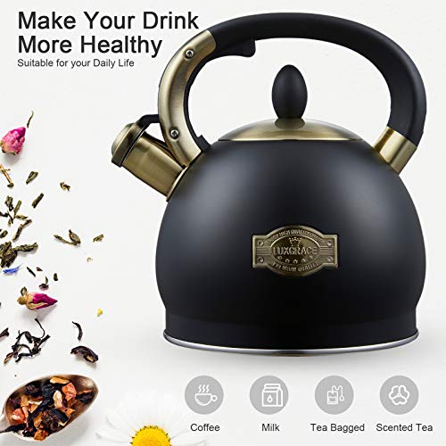 Stove Top Whistling Tea Kettle