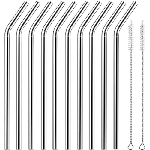 Set of 10 Stainless Steel Straws (10 Count)