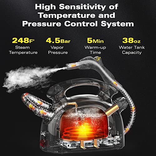 Steam Cleaner (21 Count)