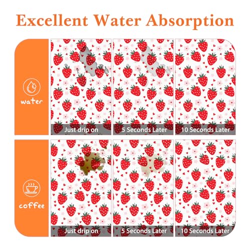 Absorbent Dish Drying Mat