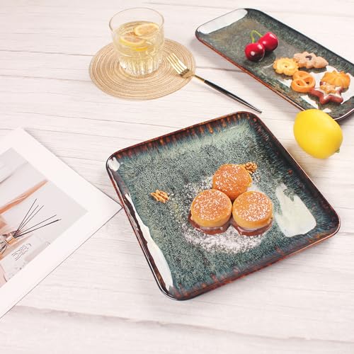 Ceramic Dinner Plates Dish Set (4 Count)