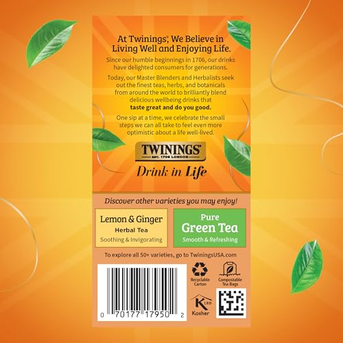 Orange & Cinnamon Spice Herbal Tea Bags (120 Count)