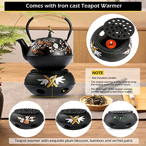 Cast Iron Teapot with Warmer Japanese Tea Kettle 720ml