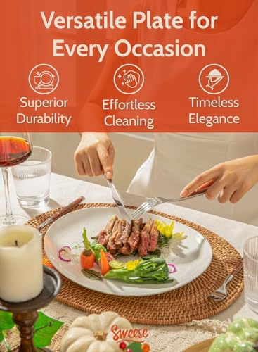 Porcelain 11 Inch Dinner Plates Set of 6 (6 Count)