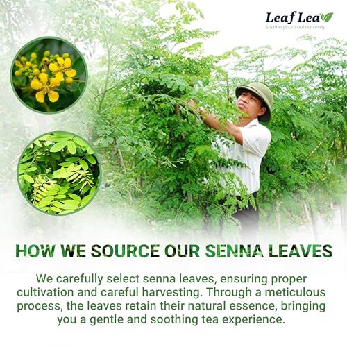 Senna Tea Bags (120 Count)