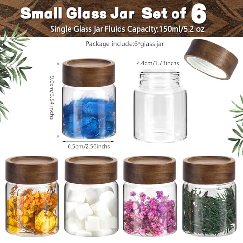 6 pc Glass Spice jars Glass Jars with Screw Lid 5 oz Acacia Wood Glass Herb Sugar Coffee Bean Ground Container Food Storage Canister for Candy Pantry Tea Seasoning Meal Prep Snack