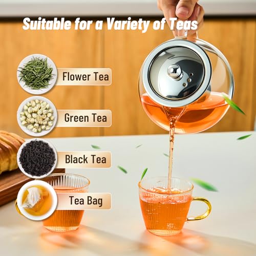 Glass Teapot with Infuser (22 Fl Oz)