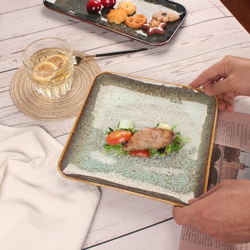 Ceramic Dinner Plates Dish Set (4 Count)