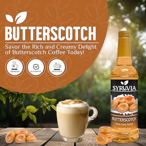 Coffee Syrup Butterscotch Flavored Syrup for Drinks (25.4 Fl Oz)