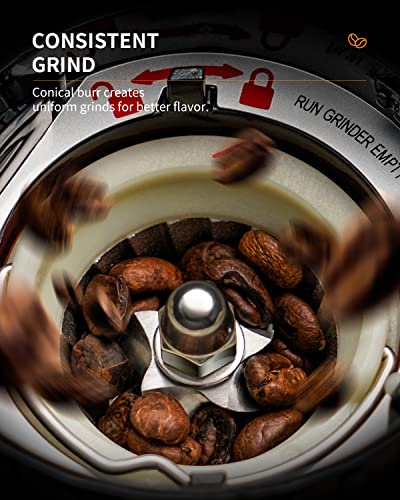Conical Burr Coffee Bean Grinder