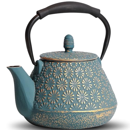 Cast Iron Teapot