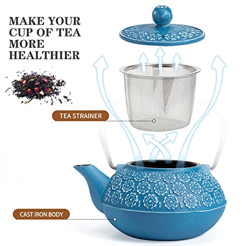 Cast Iron Tea Pot with Infusers for Loose Tea