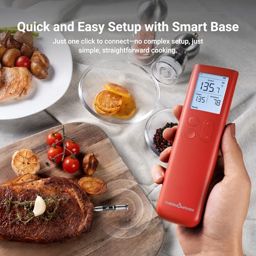 Sub 1G Smart Wireless Meat Thermometer with Standalone Base