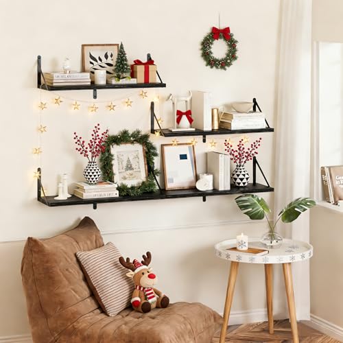Black Deep Floating Shelves for Wall (2 Count)