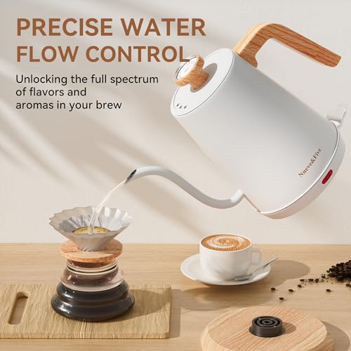 Electric Gooseneck Kettle with Thermometer