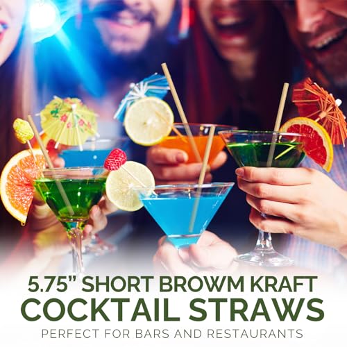 500 Counts] Chunspak 5.75 inch Disposable Brown Kraft Short Paper Cocktail Straws & Stirring Straws
