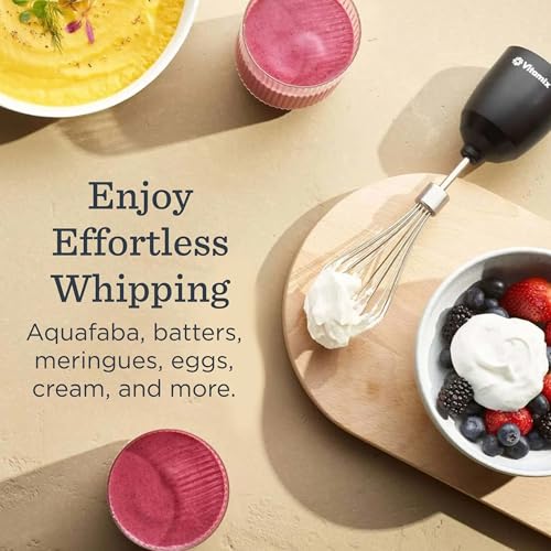 2 Speed Immersion Blender + Whisk Attachment