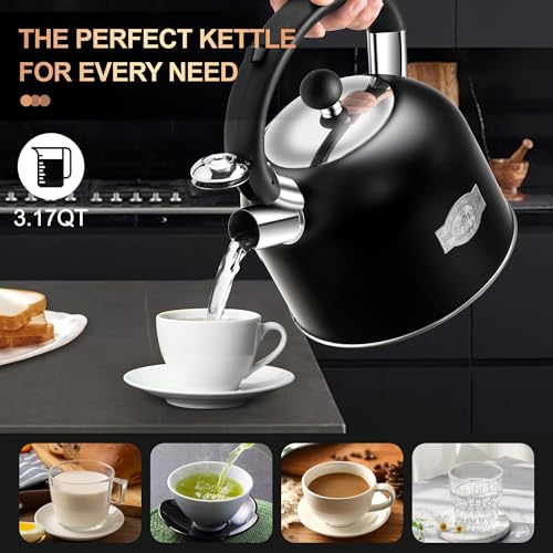 Tea Kettle 3.17QT Stainless Steel Whistling Tea Pot