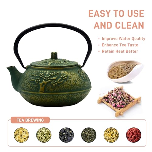 30.4oz Small Cast Iron Tea Kettle