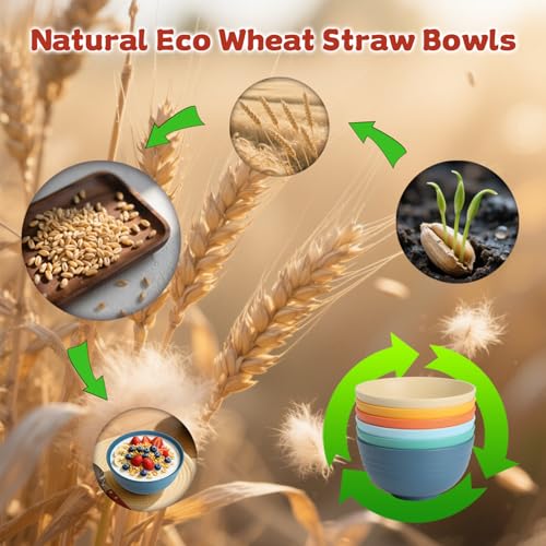 Wheat Straw Bowls Set of 6