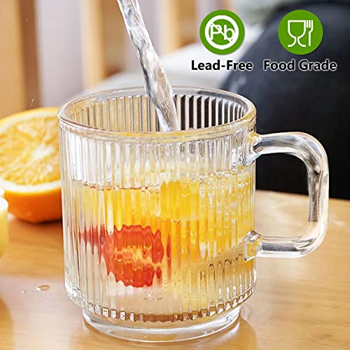6 PACK Premium Glass Coffee Mugs with Handle (6 Count)