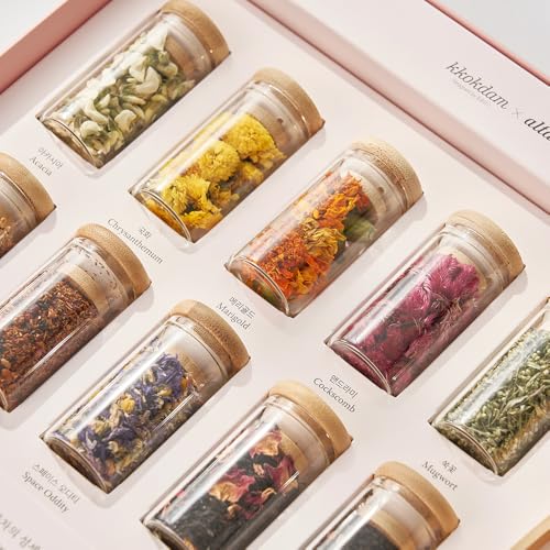 Premium 10 Tea Sampler Gift Set with Wooden Tweezers (10 Count)