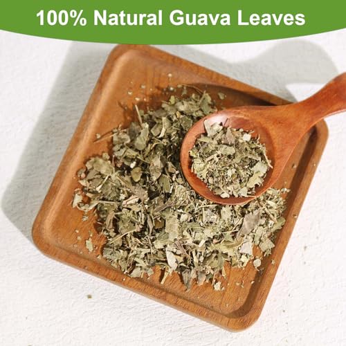 Guava Leaves Tea Bag (70 Count)